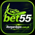 Bet55 Game Login logo, official app icon