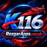 K116 .com logo with a red plane and white lettering